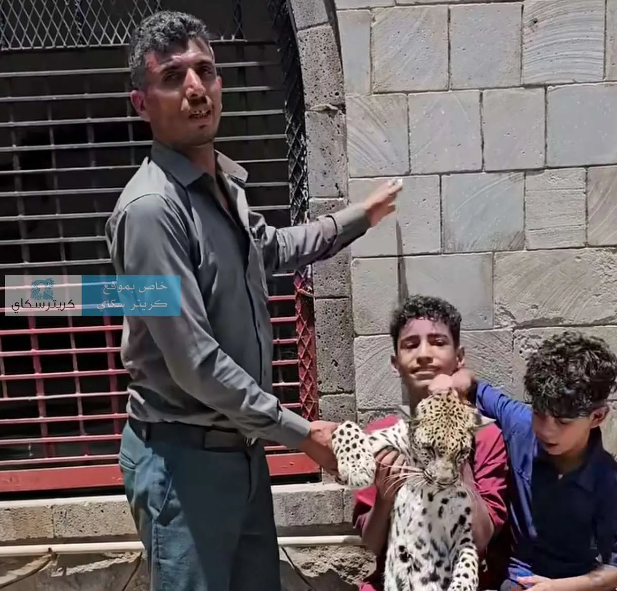 بعد كارثة أسد صنعاء.. أطفال يحملون فهداً في حديقة حيوان بتعز يثيرون الجدل