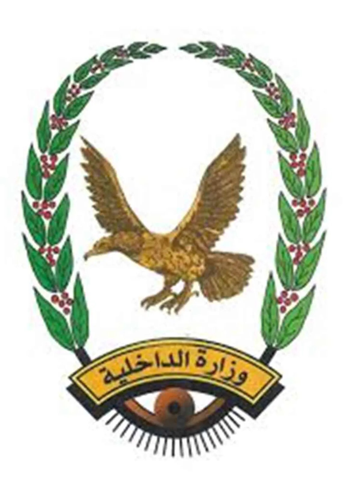 الداخلية تعلن حصيلة ضبطيات المخدرات خلال مايو وتكشف مصادر التهريب