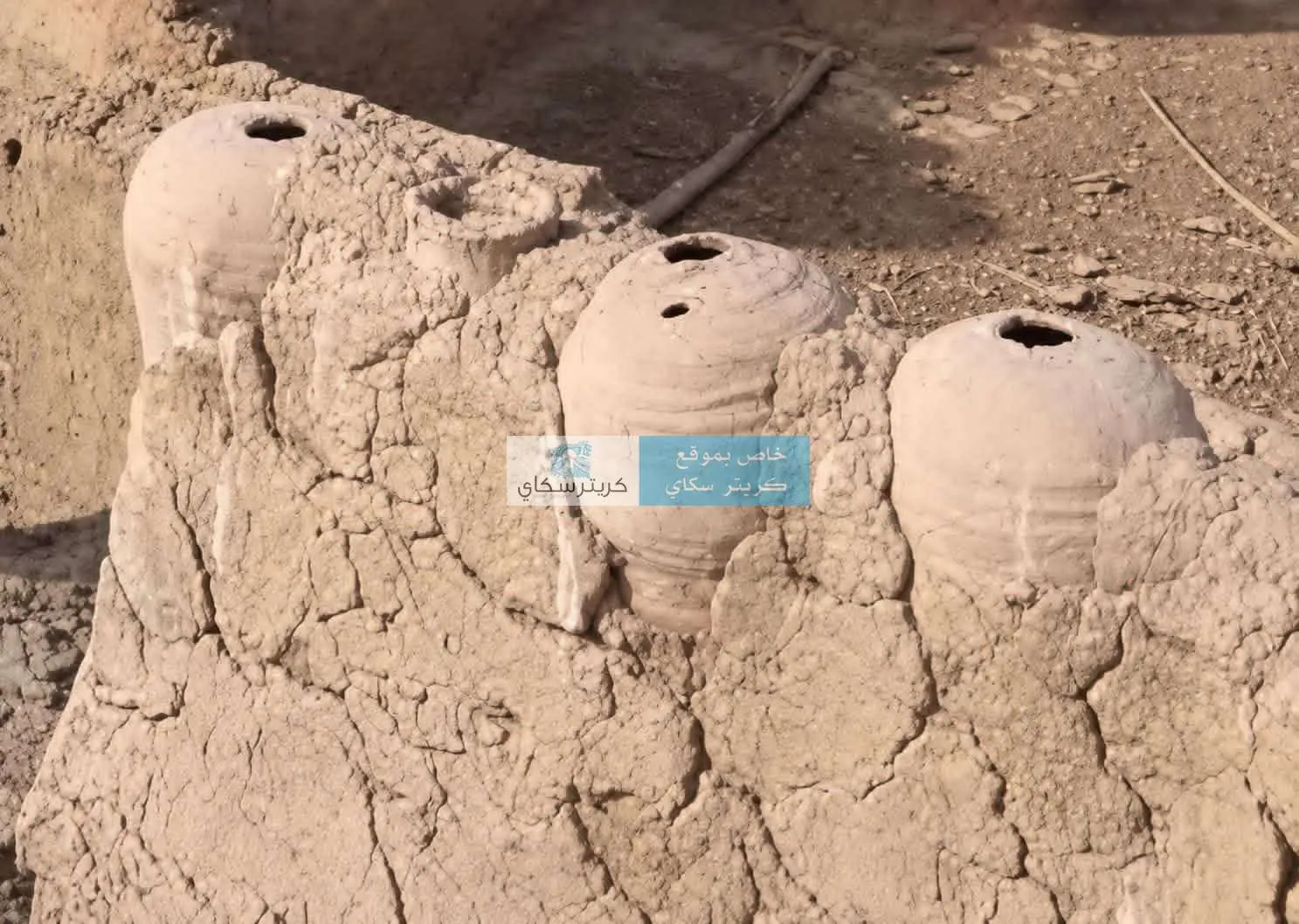 سور استثنائي يظهر للعلن بعد أكثر من 200 عام في شبوة