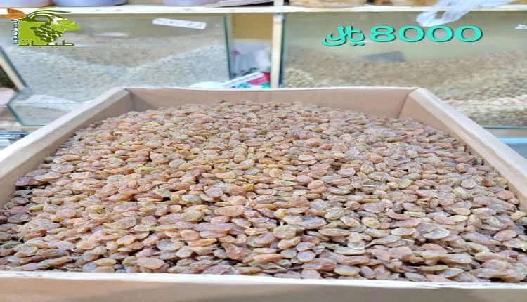 عصابة مسلحة تهاجم متجرا في قلب صنعاء.. تاجر يكشف تفاصيل صادمة وارتباطهم برئاسة الحوثي