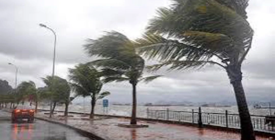 الأرصاد تتوقع أمطاراً رعدية ورياحاً نشطة وتحذيرات من السيول واضطراب البحر