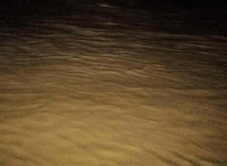 سيول مفاجئة تقطع الطريق الدولي في وادي أحور وتوقف حركة المركبات