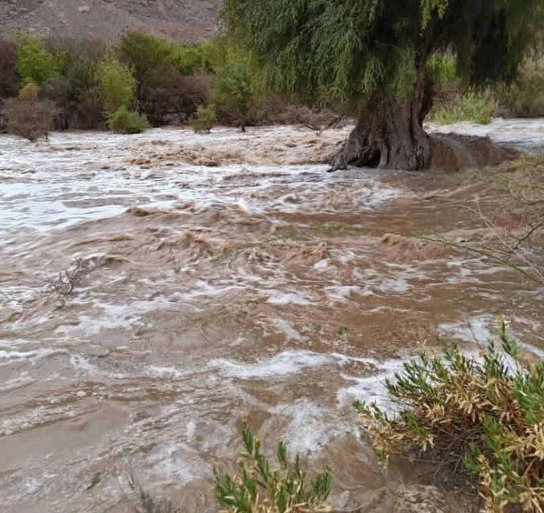 وصول سيل عارم الآن