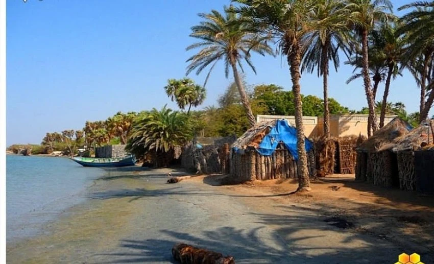 الخوخة تتأهب لانطلاق النسخة الرابعة من مهرجان “عيدنا خوخة” وسط استعدادات متكاملة