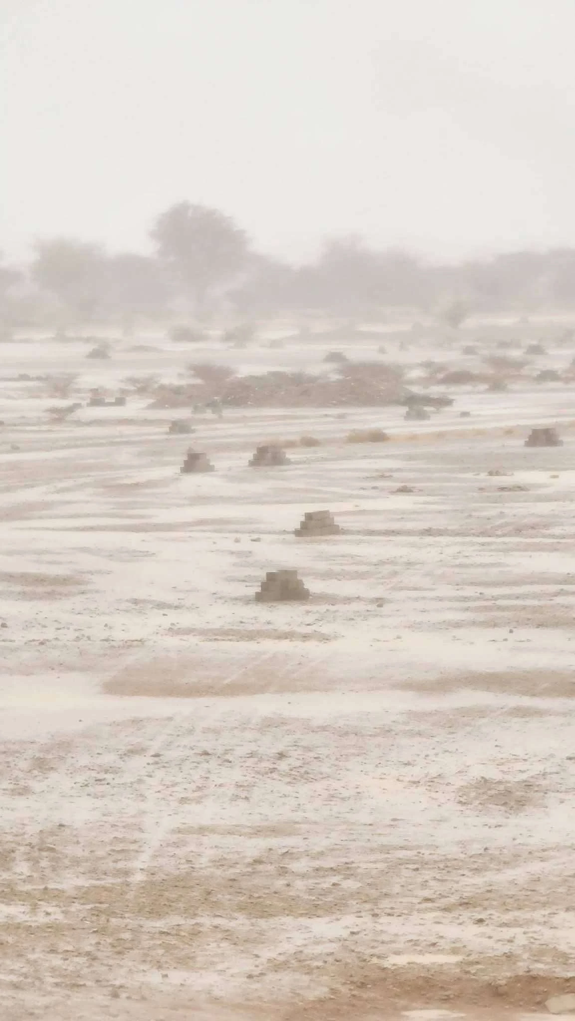 عاجل | أمطار غزيرة وسيول تجتاح شوارع هذه المدينة(صور)