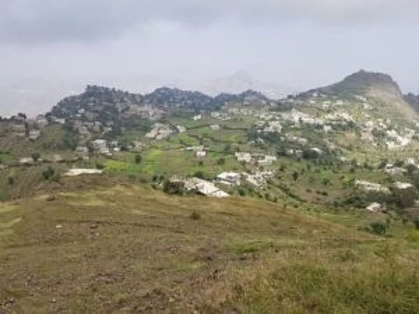 شاب يُنهي حياته في إحدى بلدات العدين غربي إب