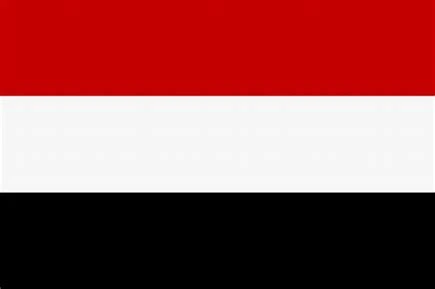 اليمن يعرب عن تضامنه مع الأشقاء في قطر وتركيا إثر سقوط طائرة مروحية