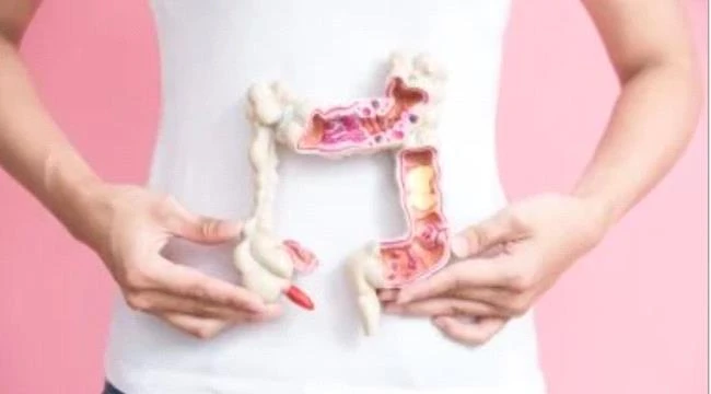 لصحة الجهاز الهضمي .. أطعمة صديقة للأمعاء وتحفز الهضم بكفاءة