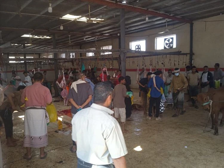 بن عطاف لعدن الغد: هدفنا من تخفيض أسعار اللحوم في سوق المواشي هو التخفيف على ذوي الدخل المحدود