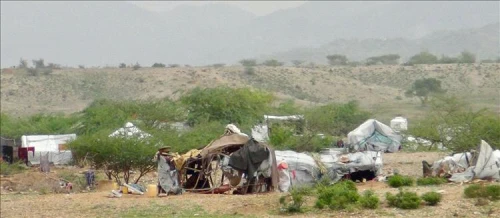 ارتفاع عدد النازحين في اليمن إلى 5.2 مليون وسط تفاقم الأزمة الإنسانية