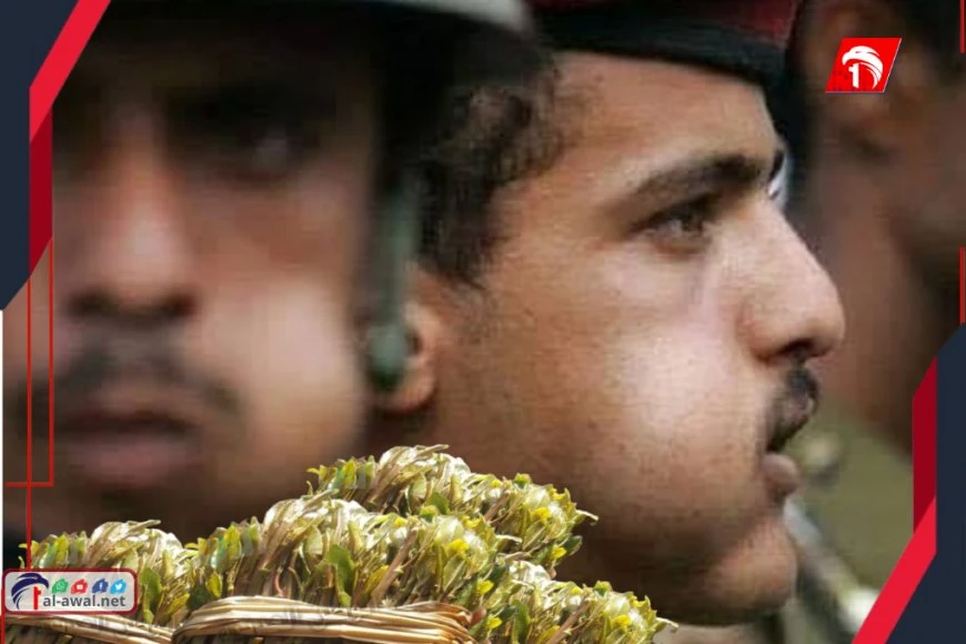 مصدر مسؤول يكشف إشكالية تورد (القات) إلى عدن