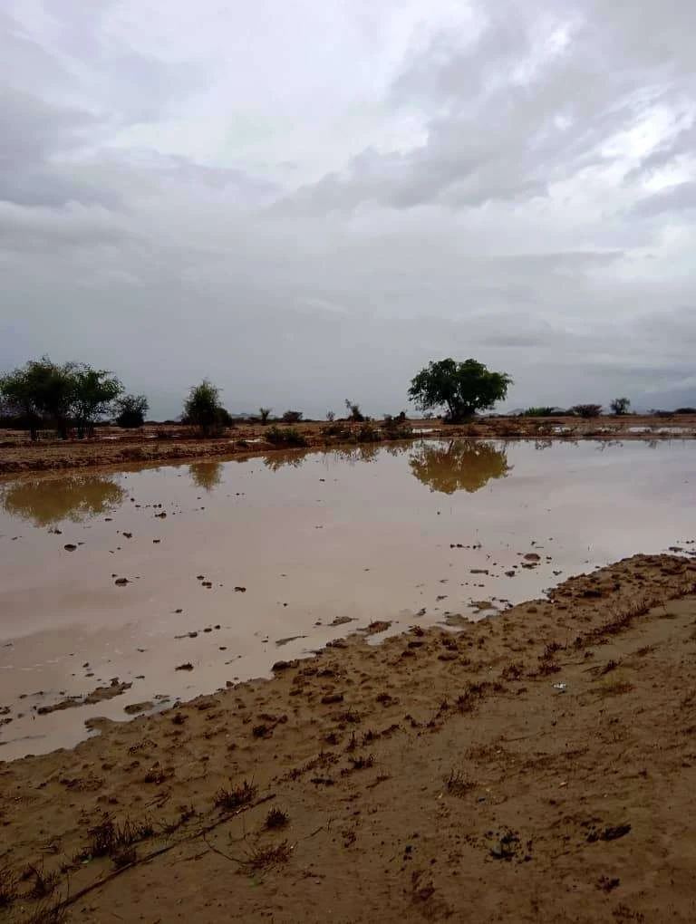 امطار غزيرة اليوم