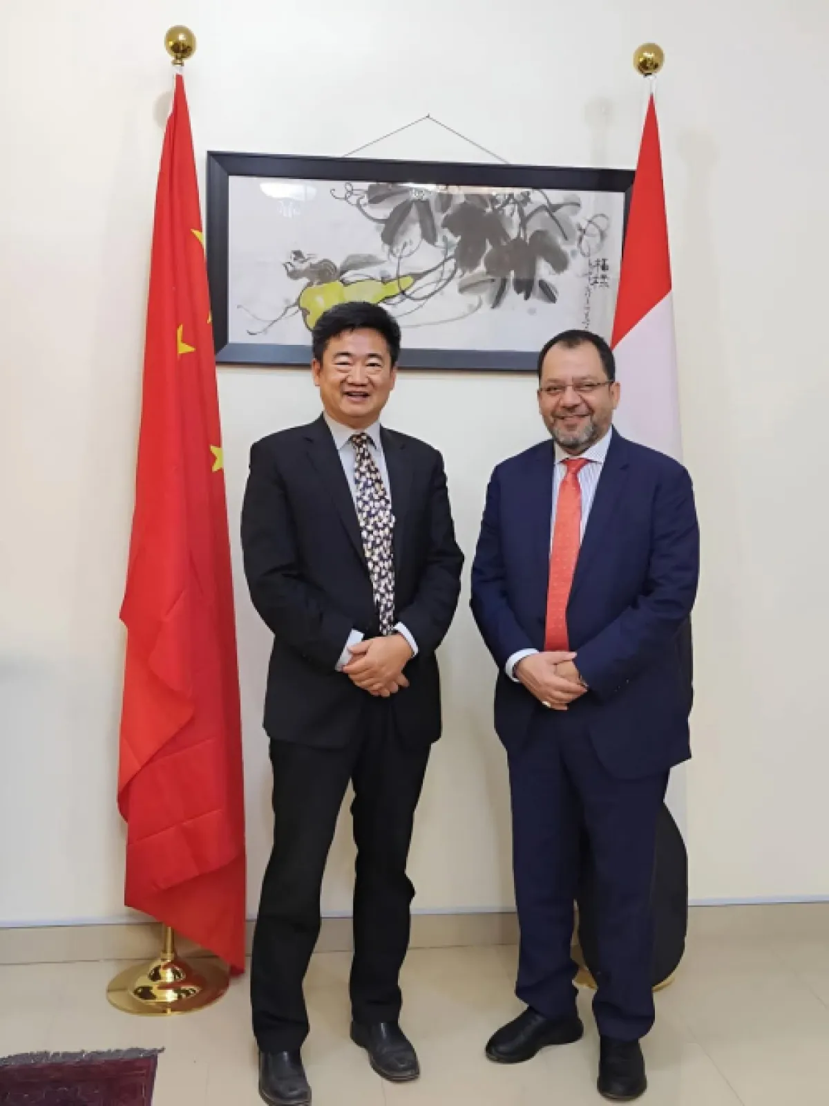 وزير الكهرباء يؤكد أهمية الشراكة مع الصين لتطوير البنية التحتية للطاقة