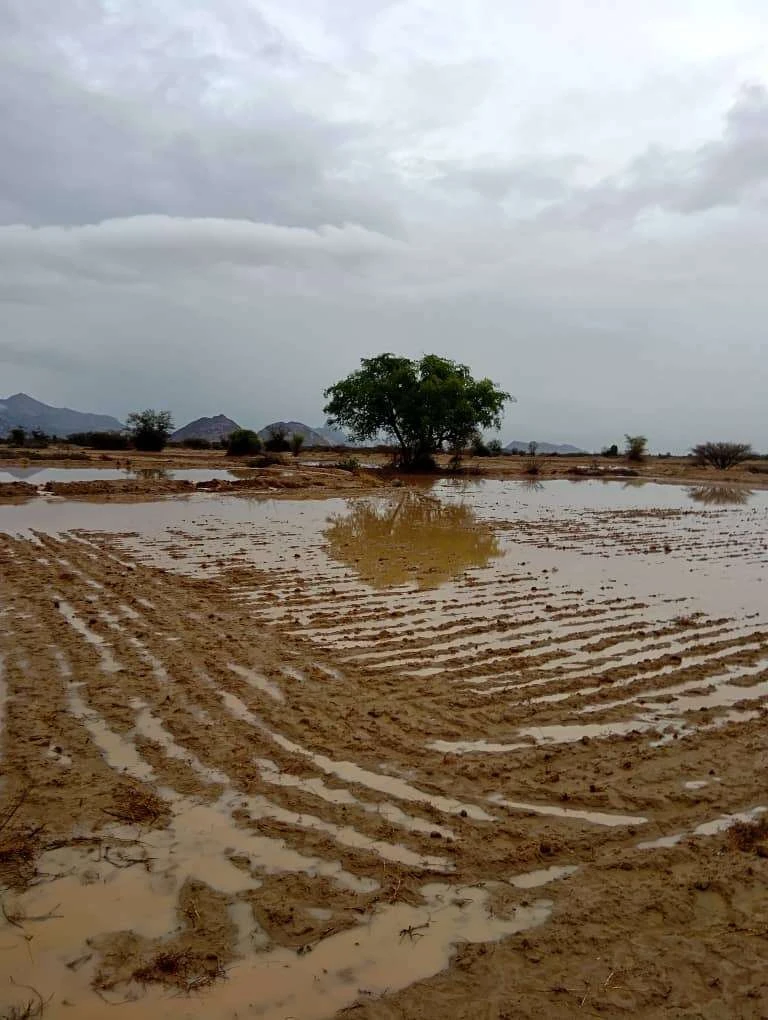 عاجل:بدء تاثيرات تساقط الامطار