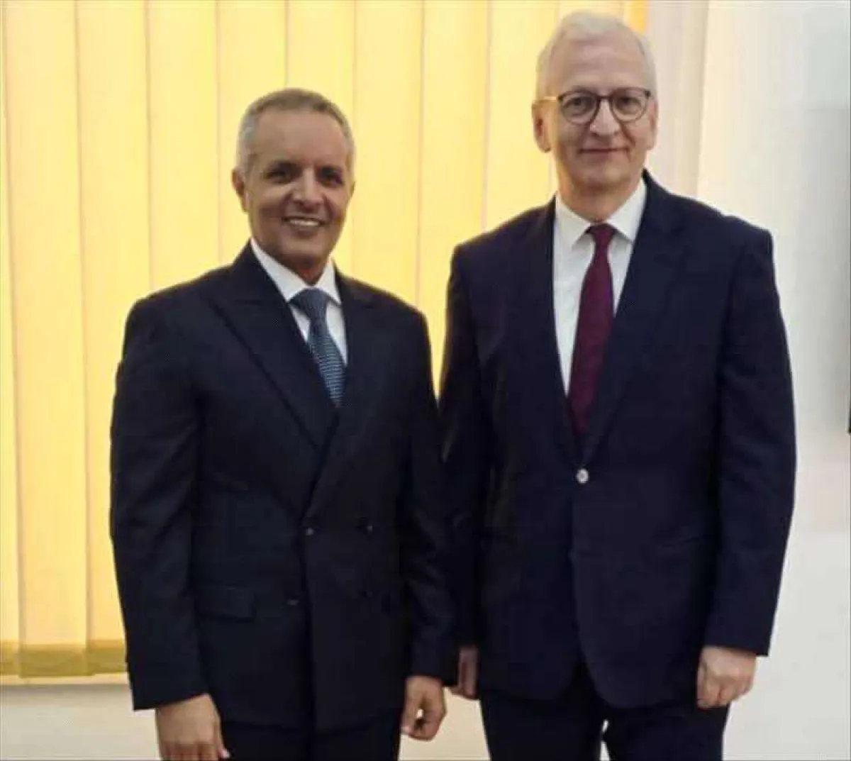 اليافعي والسفير الألماني يبحثان تعزيز التعاون الإنساني والتنموي