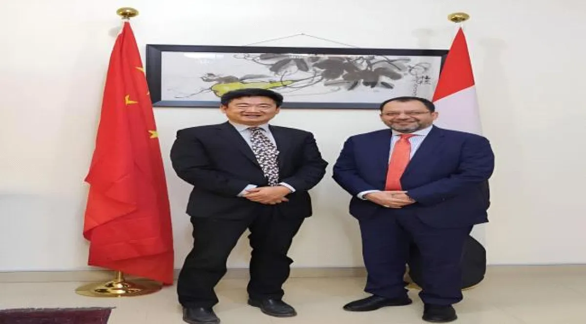 وزير الكهرباء يؤكد أهمية الشراكة مع الصين لتطوير البنية التحتية للطاقة