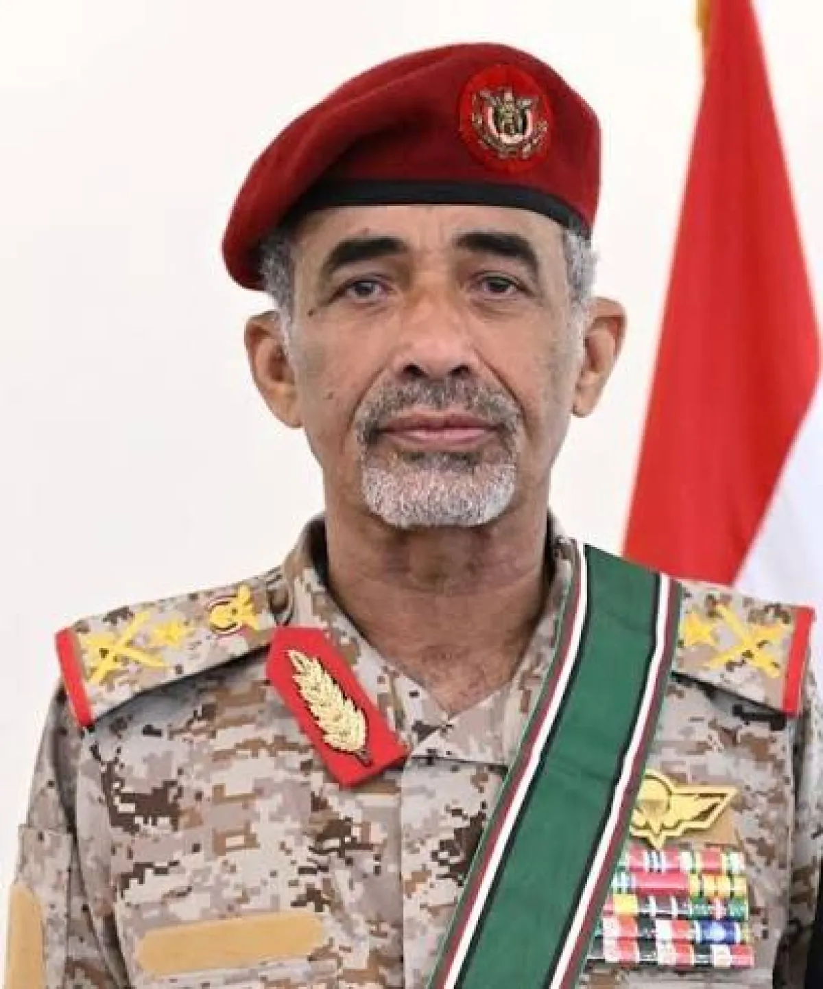 الصبيحي يدعو لرفع علم اليمن وصور العليمي في محافظة لحج