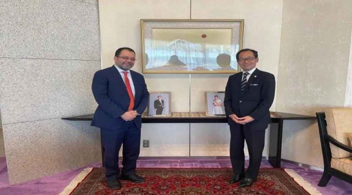 وزير الكهرباء يبحث مع اليابان دعم مشاريع الطاقة المتجددة في اليمن