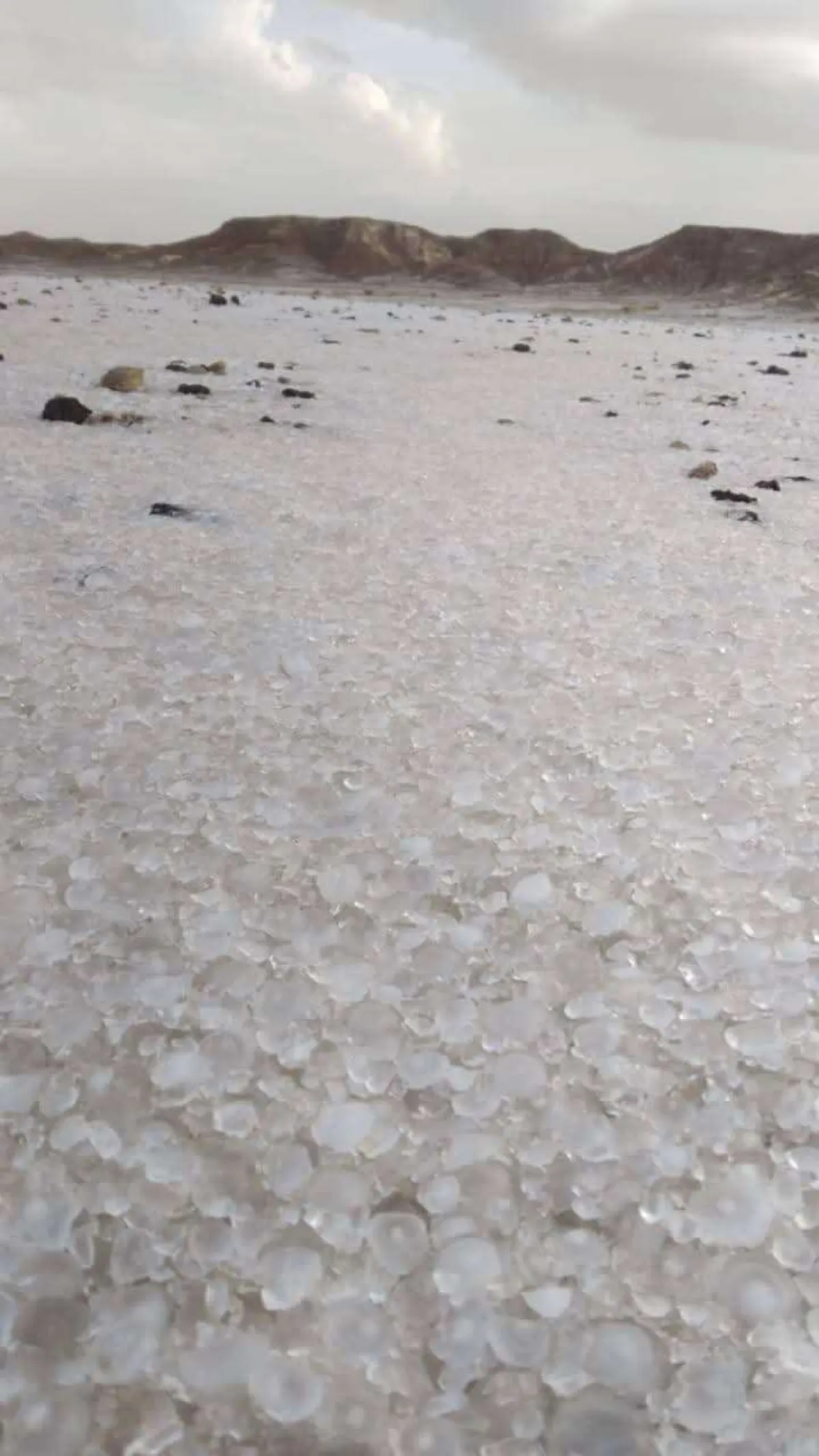 شاهد بالصور.. تساقط غزير للبرد في صحراء حضرموت عصر اليوم