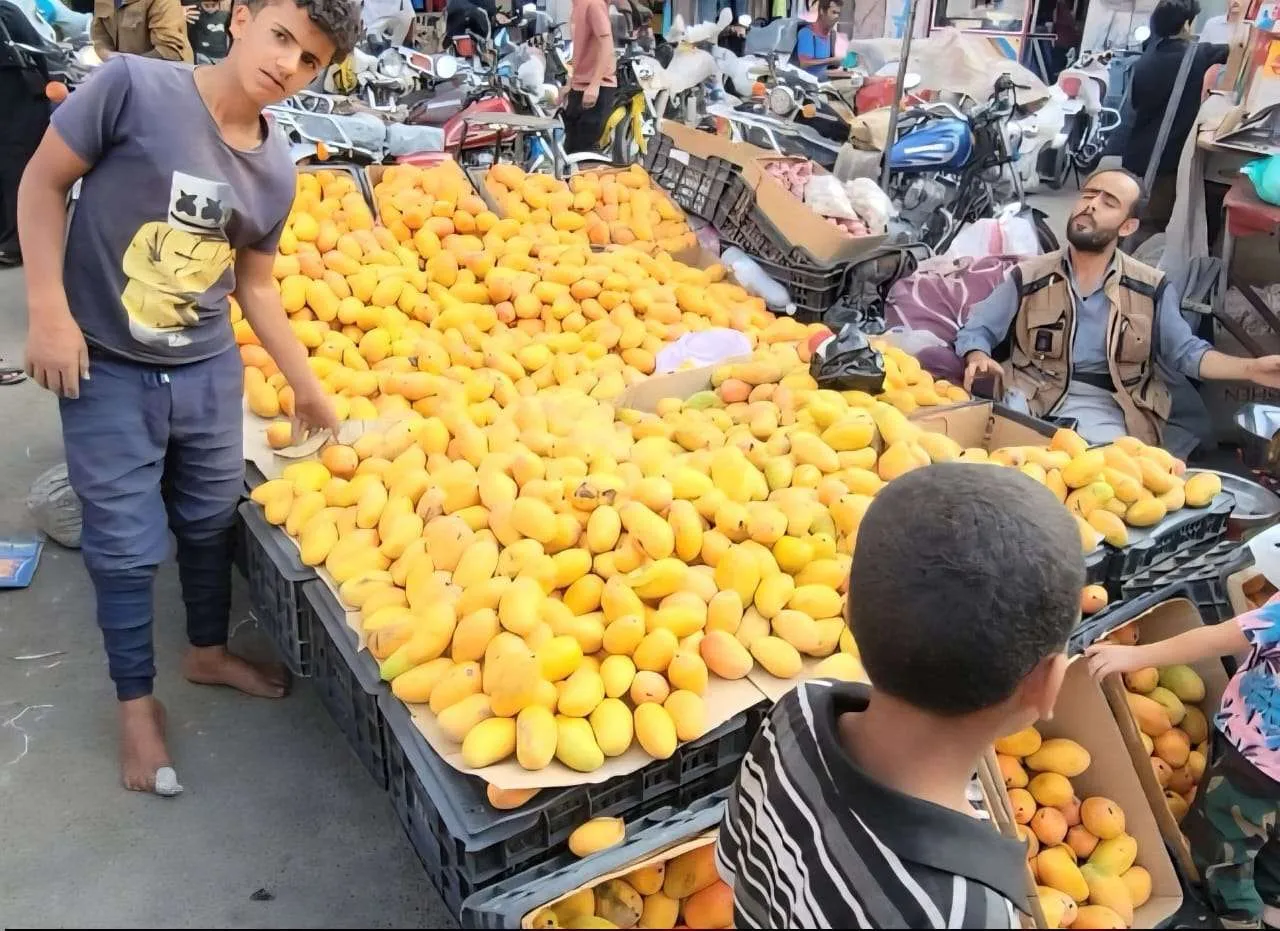 وفرة الفواكه تغرق الأسواق وخسائر للمزارعين