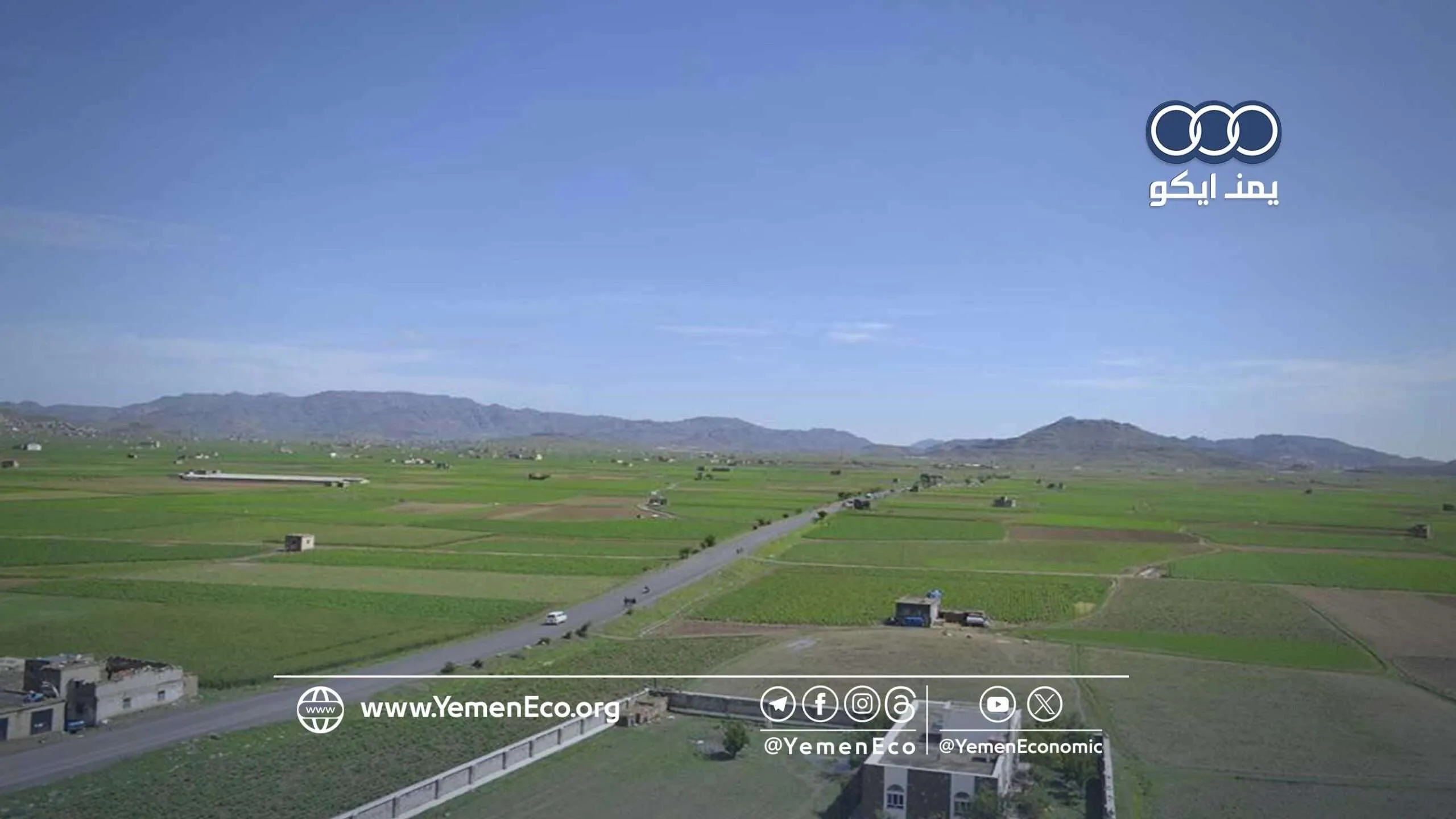 تعاونيات يريم تدشن زراعة العتر البلدي وتوسّع زراعة البقوليات وشتلات التمر