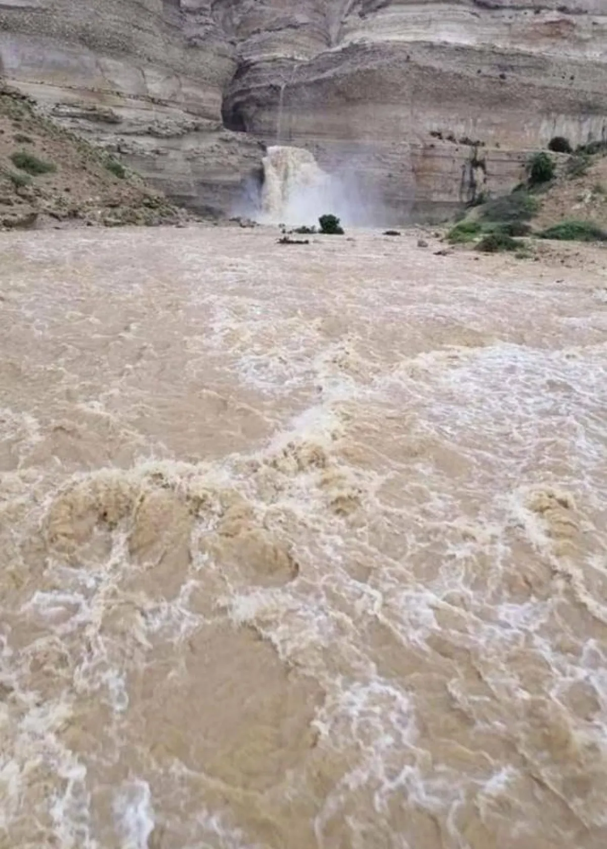 اليمن يعلن حالة التأهب القصوى لمواجهة أي مستجدات مناخية