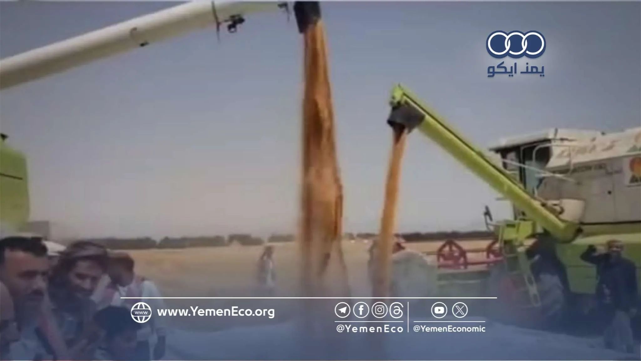 لتقليص فاتورة الاستيراد.. الجوف تعزز الأمن الغذائي بزراعة القمح وفول الصويا