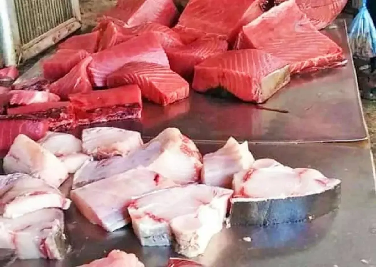 عدن: أسعار الأسماك اليوم الخميس 26 مارس 2026 ونداءات بخفض الأسعار