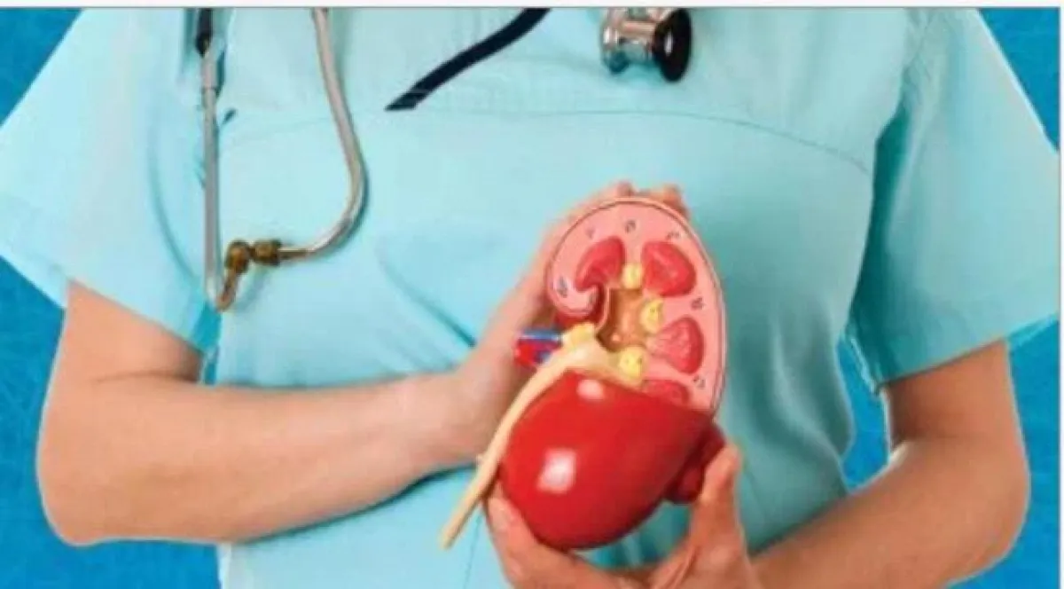 حصوات الكلى.. عوامل تساعد على خروجها بشكل طبيعي دون جراحة