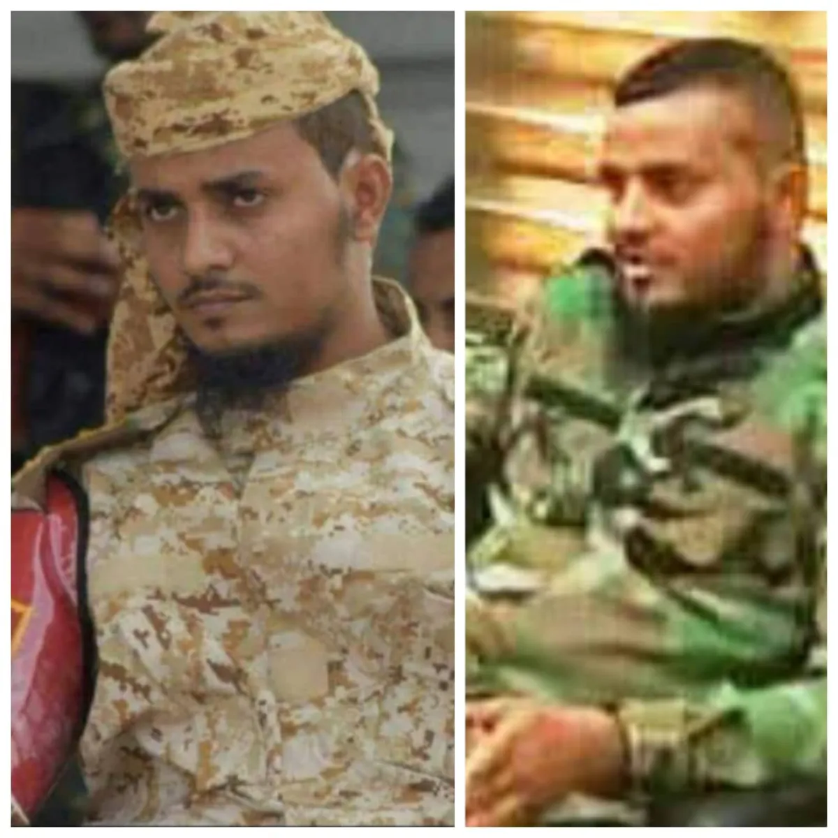 حين يتهجن الشبل من الاسود نجد واصف