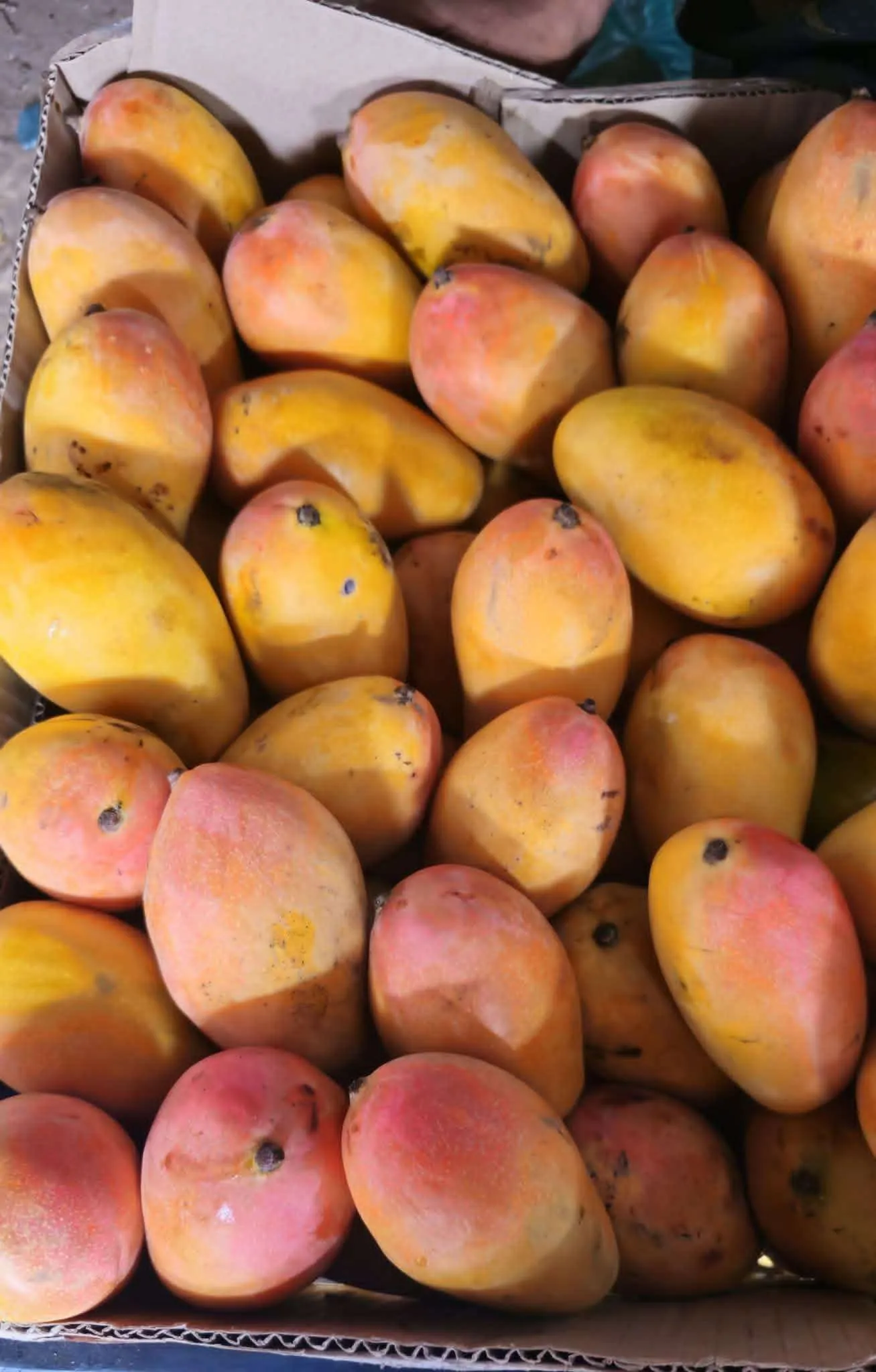 ارتفاع اسعار عصير المانجا في عدن