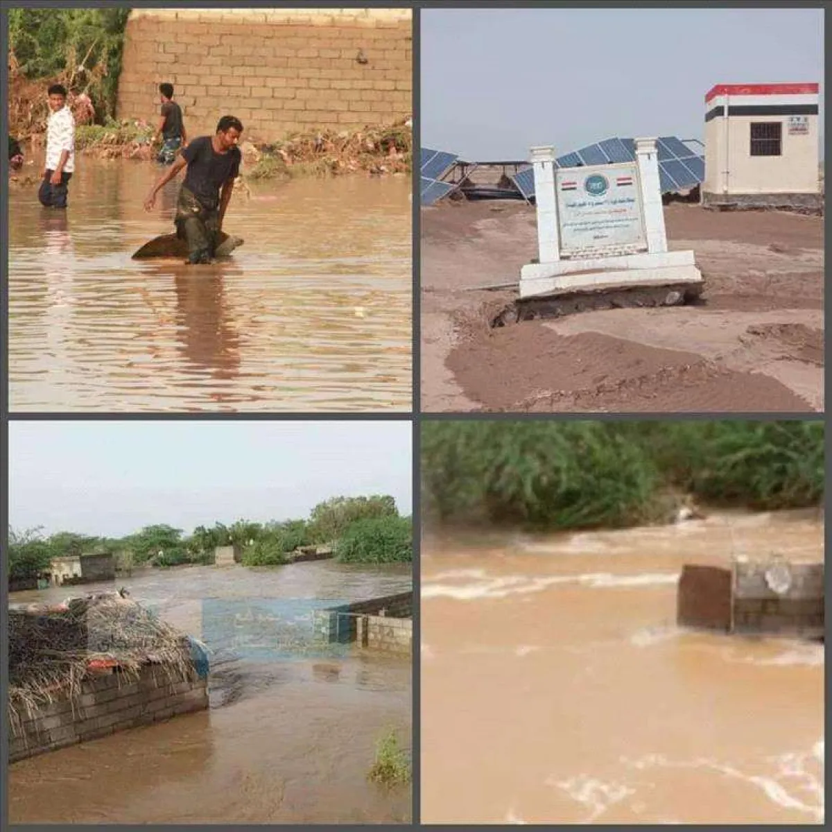 عاجل:سيول جارفة تضرب قرية دار الشجاع في المخا وتخلّف دمارًا واسعًا