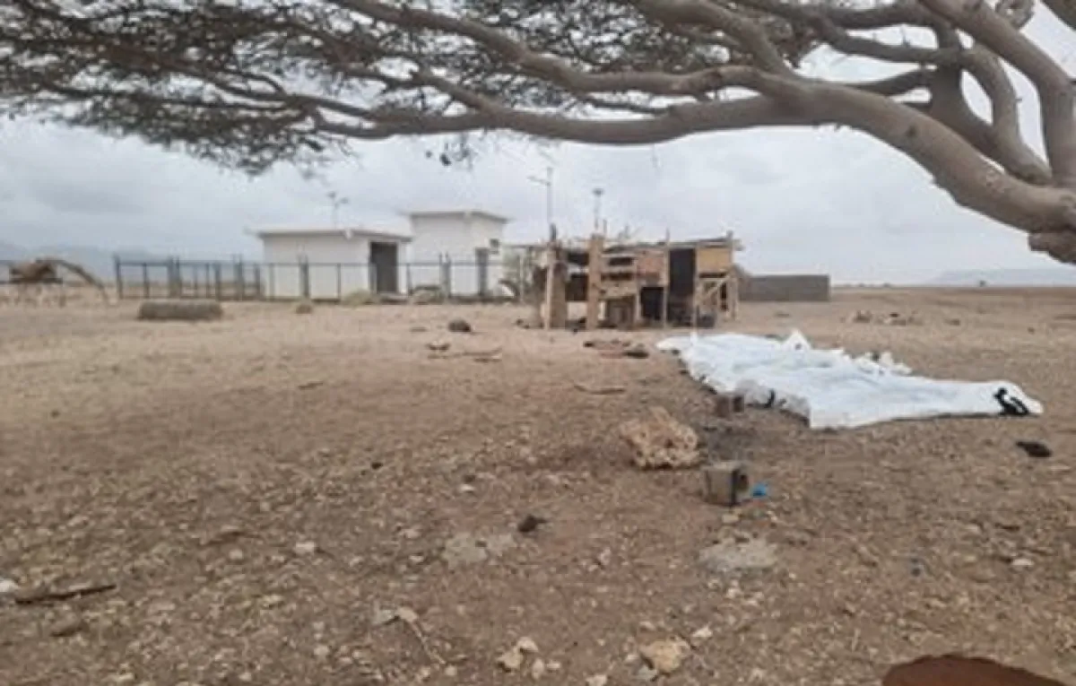 الهجرة الدولية: مقتل وفقدان 54 مهاجراً أفريقياً في حادثة غرق سفينة كانت في طريقها إلى اليمن