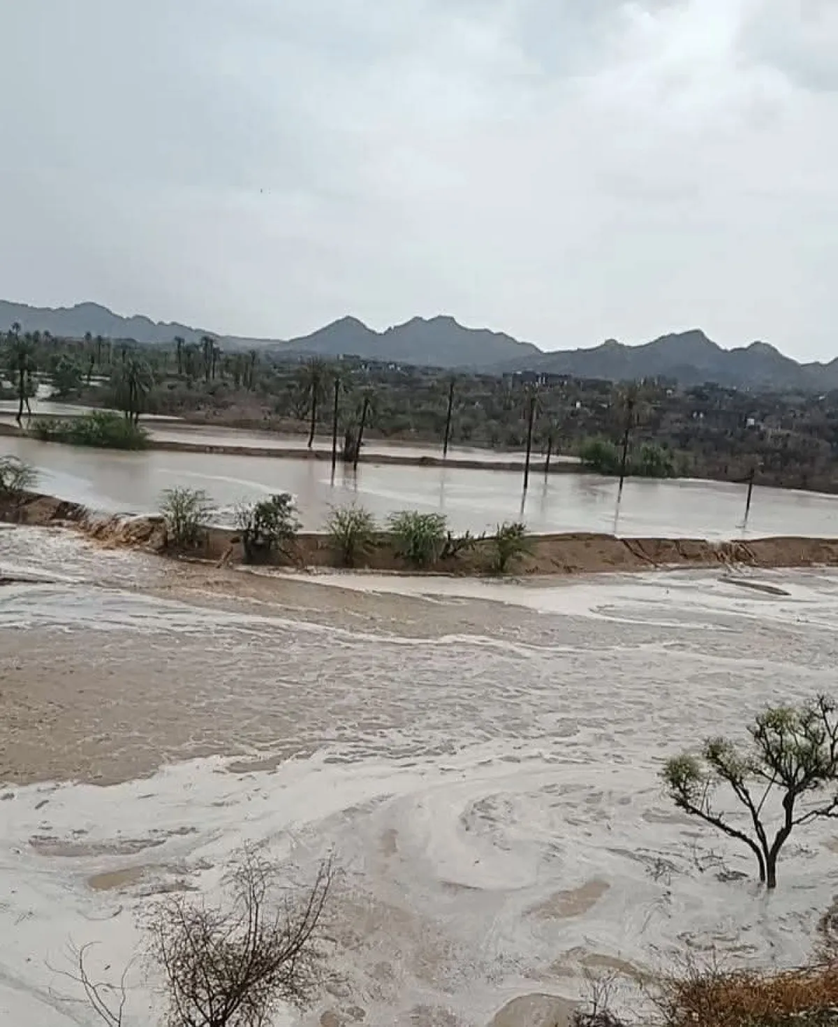 ضحايا ومفقودون جراء سيول جارفة تضرب ساحل تعز