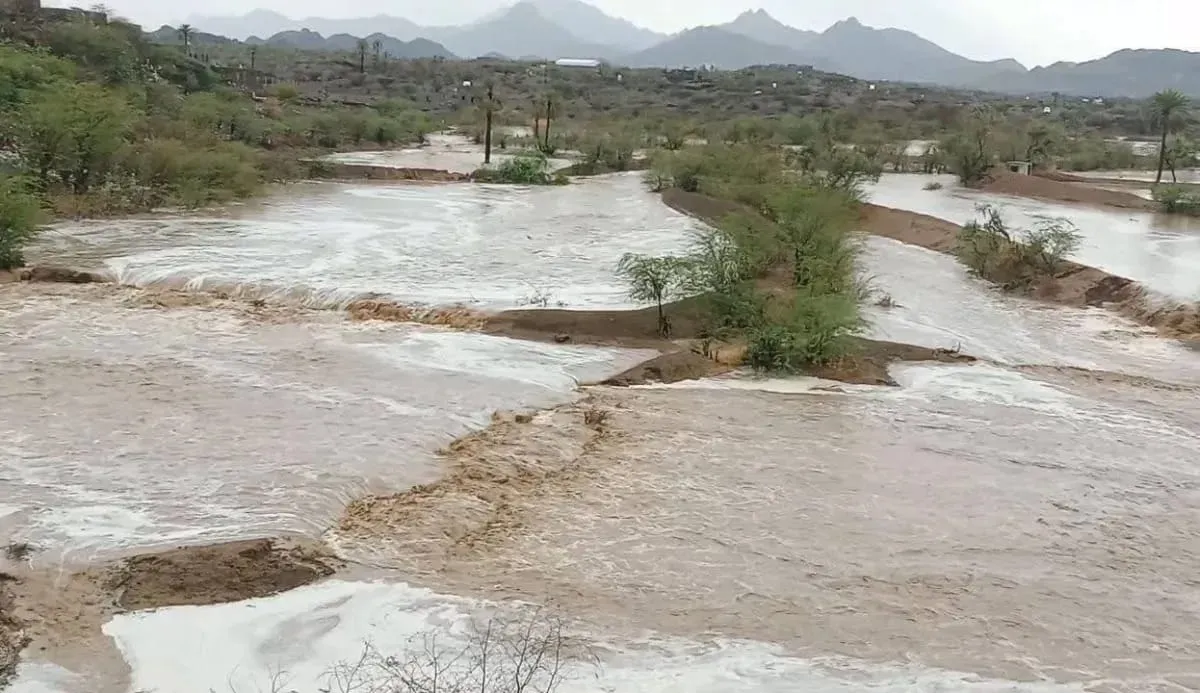 الوازعية.. السلطة المحلية تتحرك لتقييم أضرار السيول الجارفة