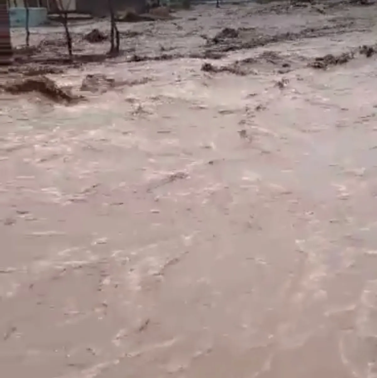 سيول عنيفة تجتاح ريف المخا وتخلف ضحايا وخسائر كبيرة