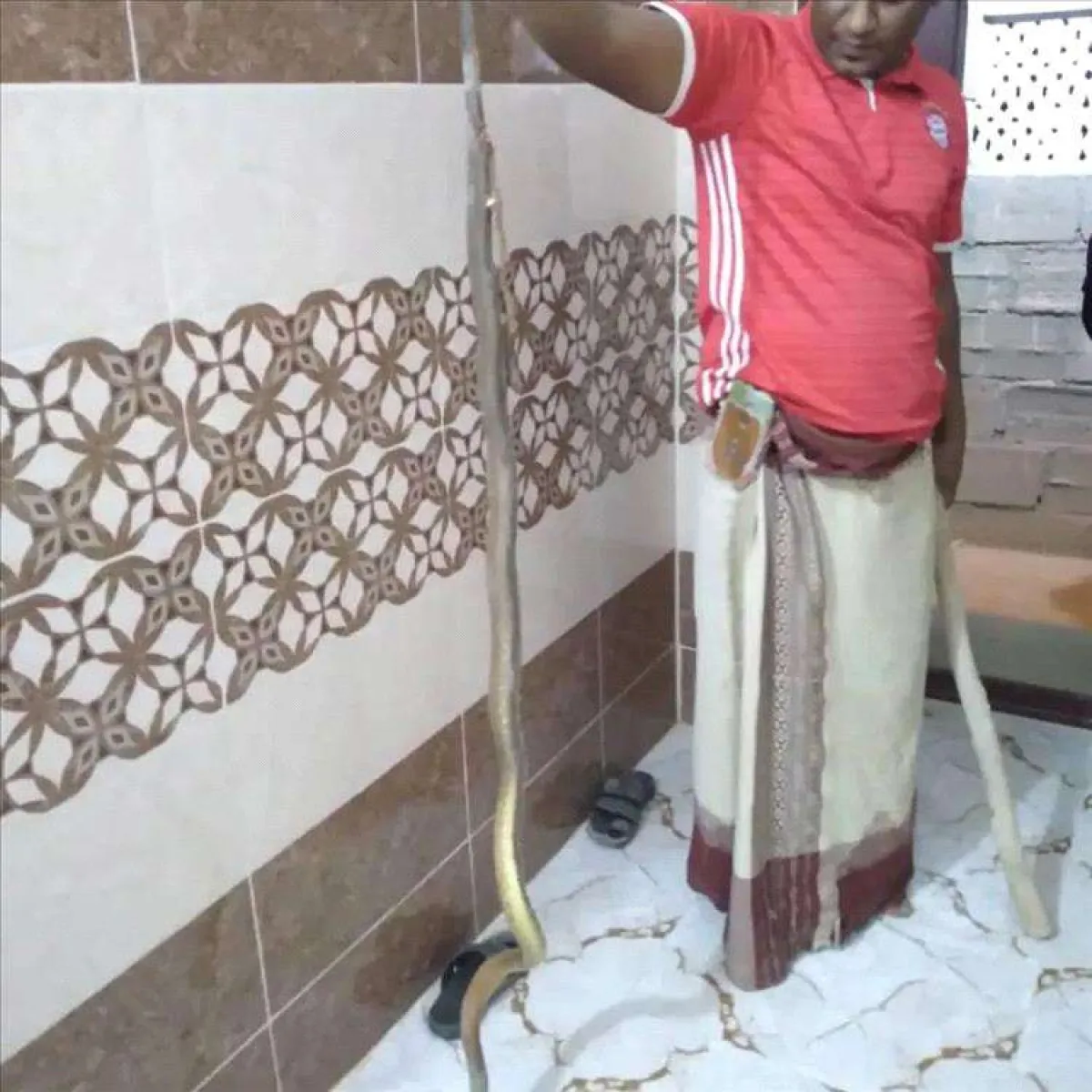 الأهالي يقضون على ثعبان سام ضخم منزل