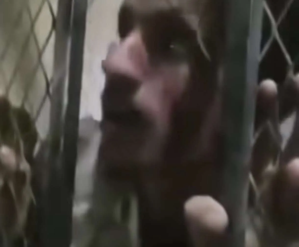 فضيحة تاريخية لم تحدث من قبل.. اعتقال مواطن بسبب افطاره لكبدة اول ايام العيد في صنعاء