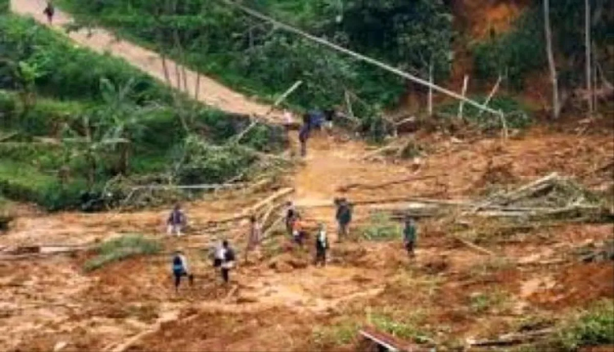 20 قتيلًا على الأقل في انزلاقات تربة في تنزانيا