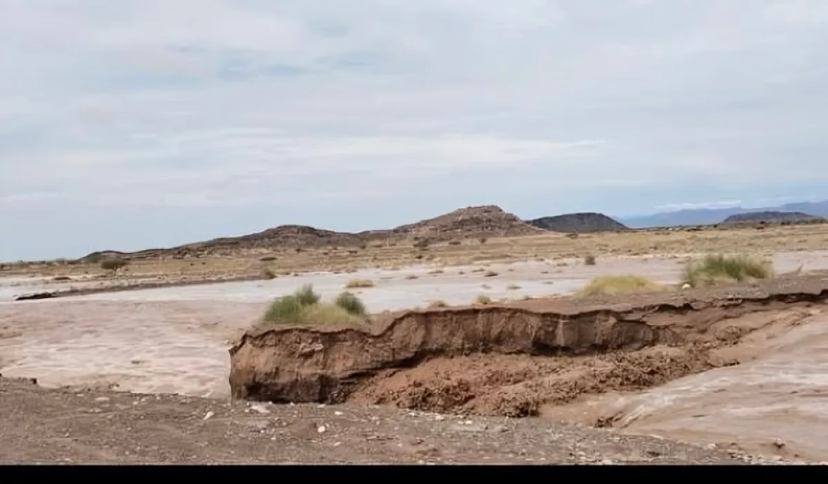 فيديو | سيول جارفة تجتاح غربي تعز ومصادر تؤكد وفاة 6 أشخاص بينهم 4 أطفال في حصيلة أولية