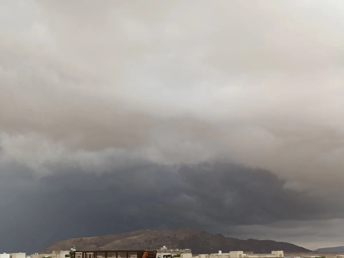 أمطار غزيرة في حضرموت تؤدي إلى تدفق السيول بمختلف أودية الشحر