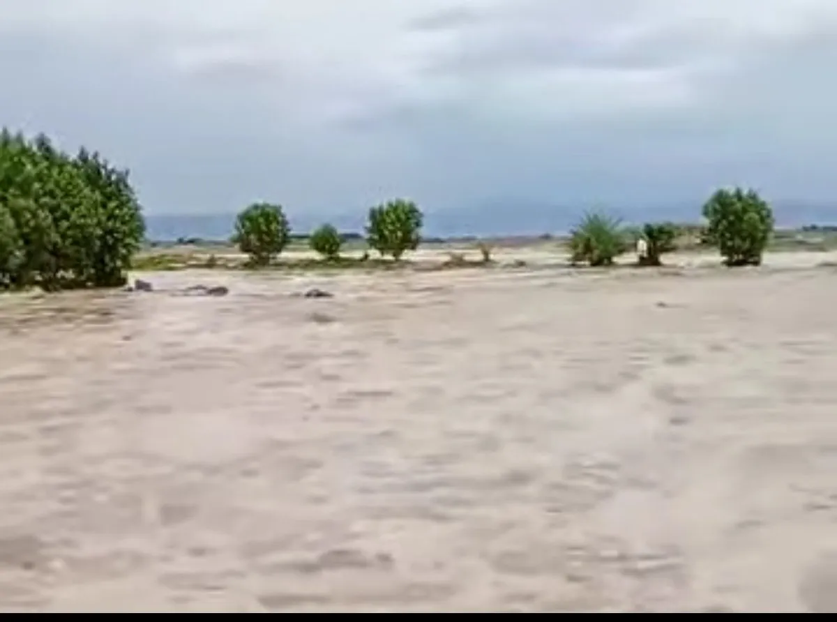 السيول تجتاح ريف المخا وتخلف ضحايا ومفقودين