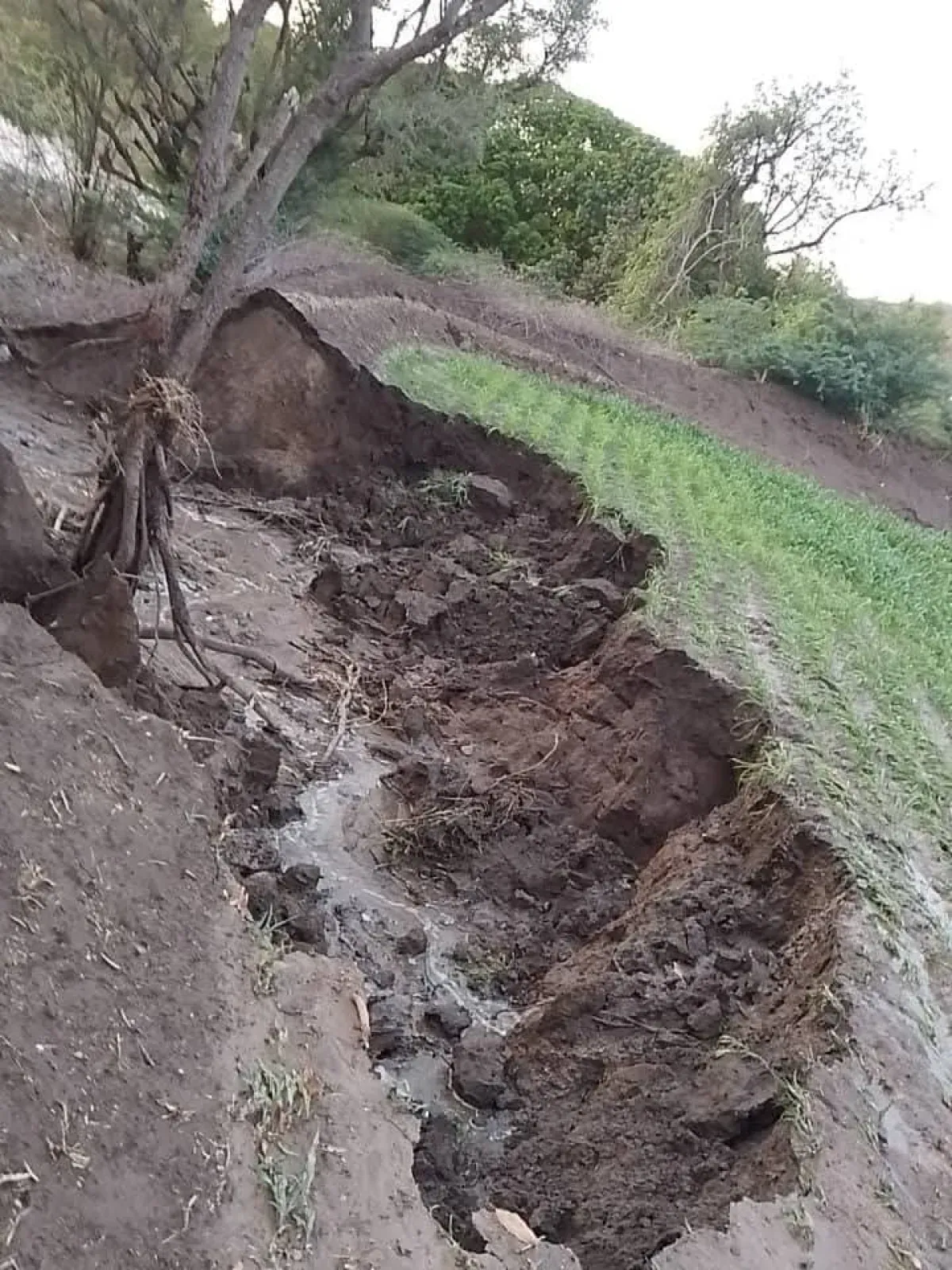 الوازعية.. تشكيل لجنة ميدانية لتقييم أضرار السيول واتخاذ إجراءات عاجلة