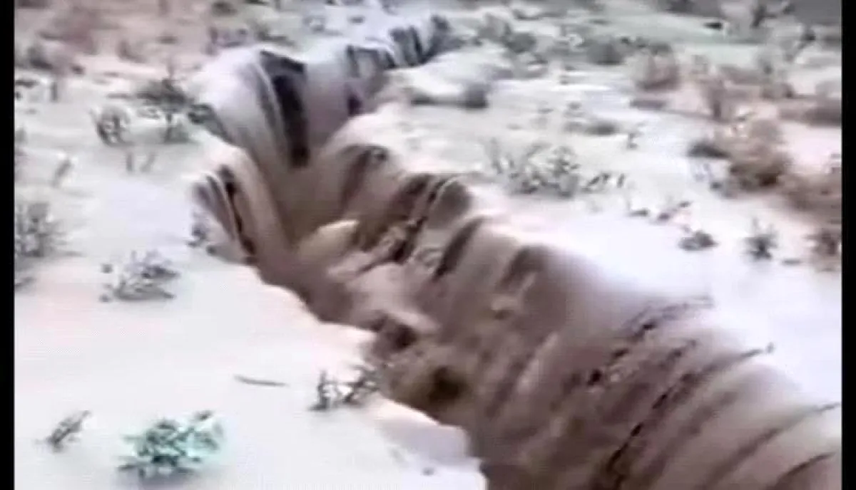 تشقق مرعب يضرب تعز.. الأرض تنشق وسكان يفرون خوفًا من الكارثة