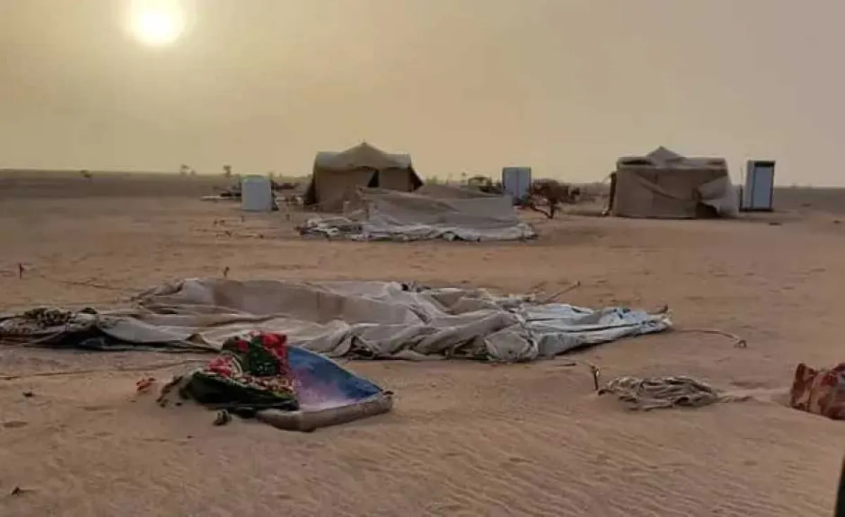 كارثة حقيقية في الجوف بسبب المنخفض الجوي والعواصف الشديدة