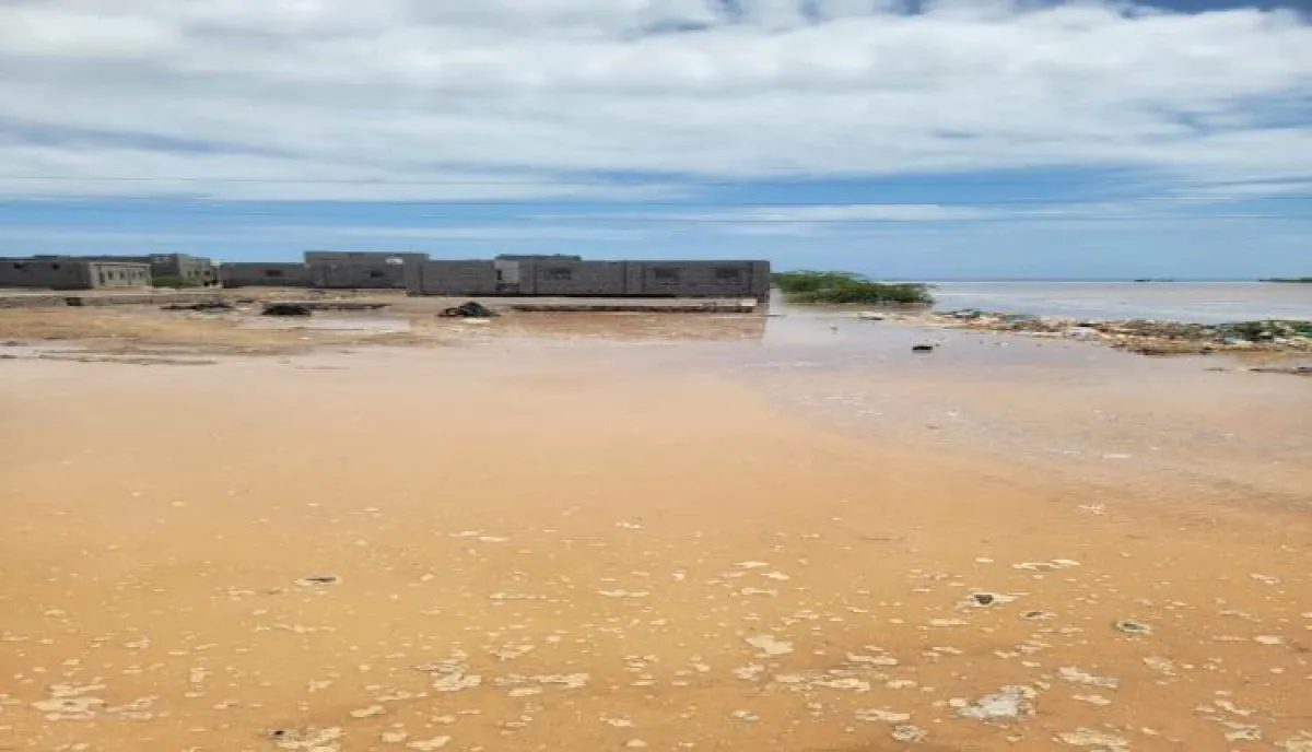 أبين.. شقرة تتعرض لسيول جارفة ومناشدة عاجلة لتدخل السلطات لإنقاذ المدينة