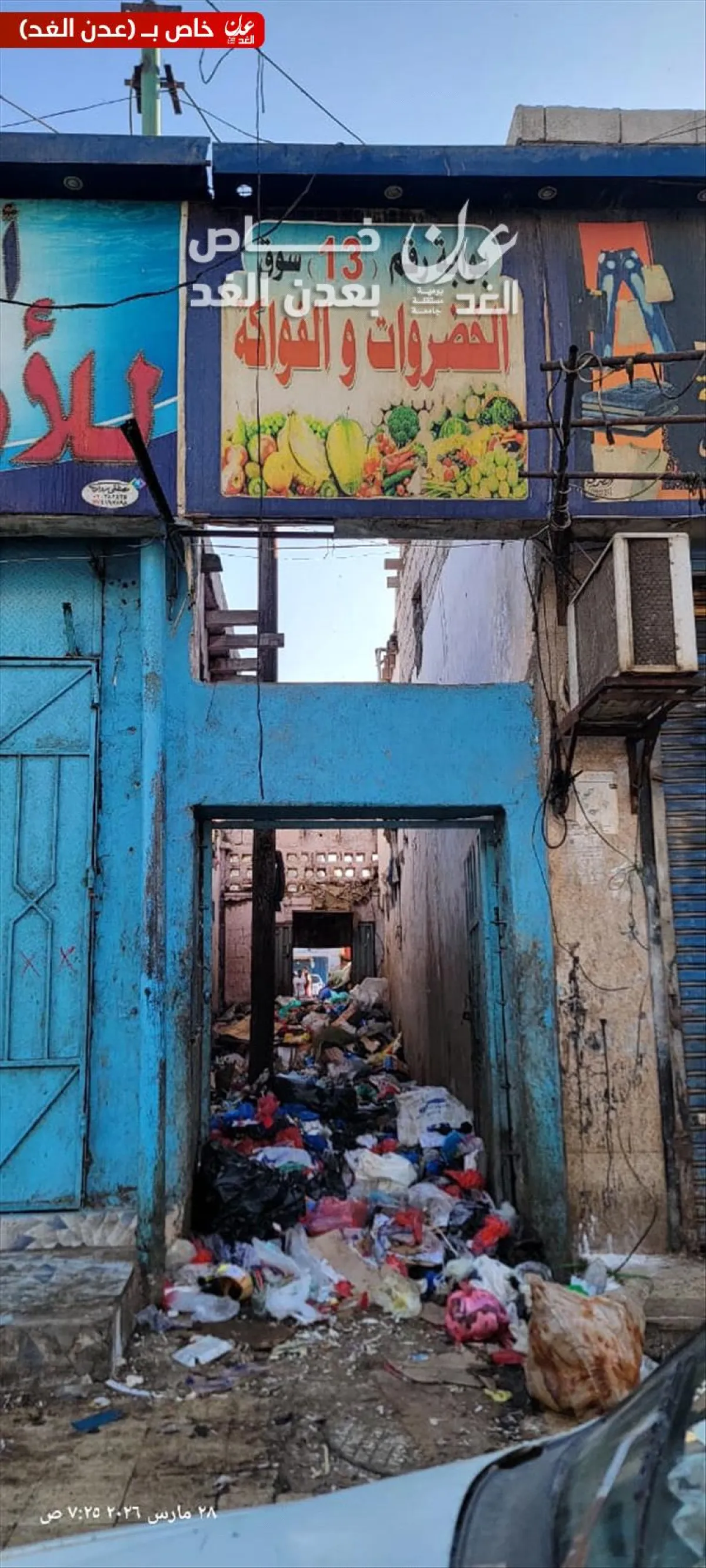 سوق السمك بالشيخ عثمان يغرق في القمامة.. مشهد مقلق يهدد الصحة العامة