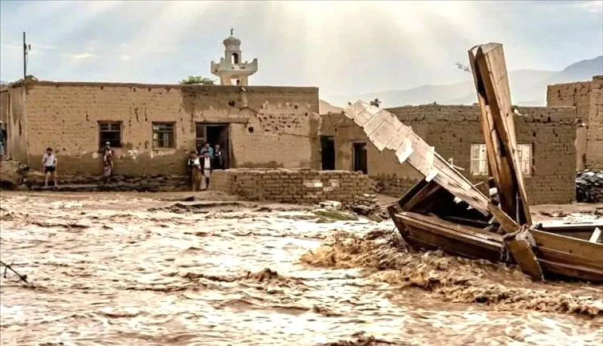 غرب تعز يغرق بالسيول: 12 ضحية بينهم أطفال وخسائر مادية واسعة
