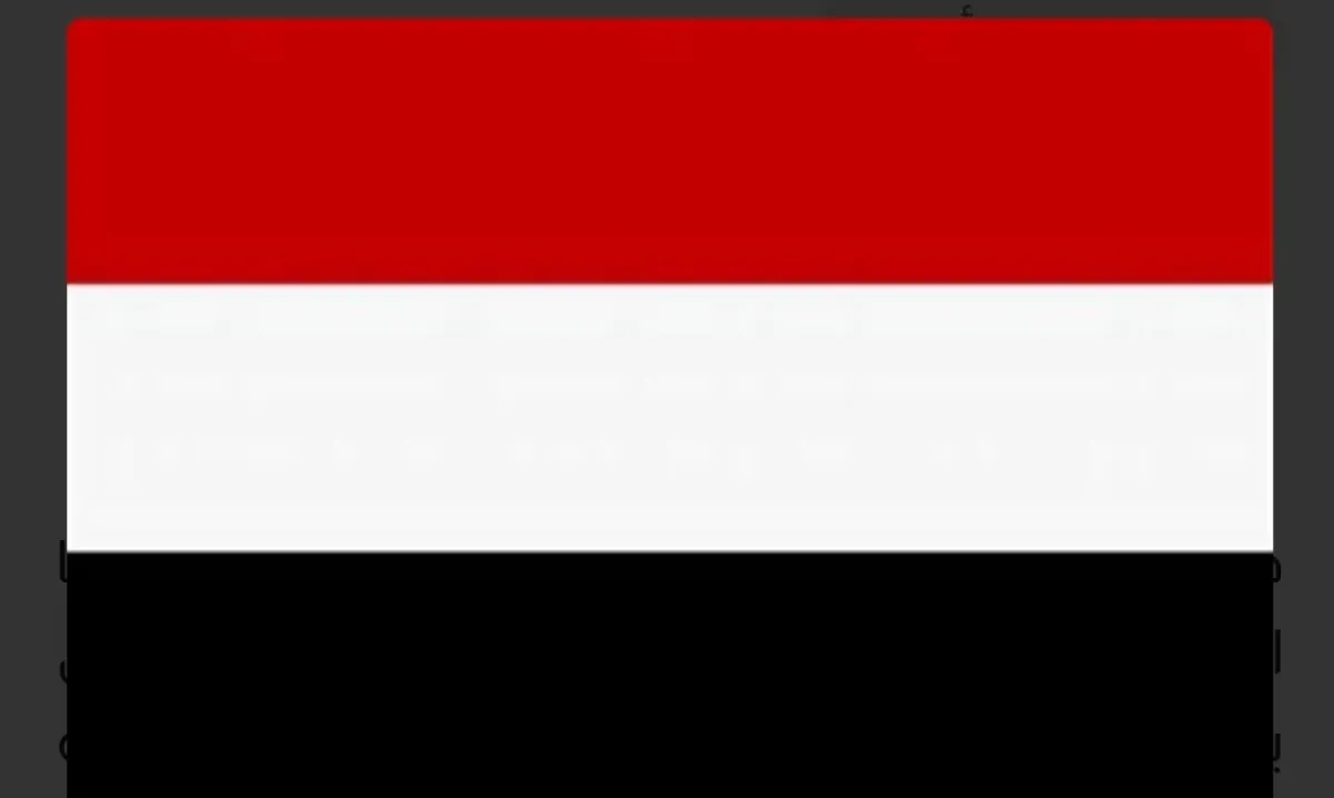 الحكومة اليمنية تتهم إيران بدفع الحوثيين لتوريط البلاد في صراعاتها الإقليمية