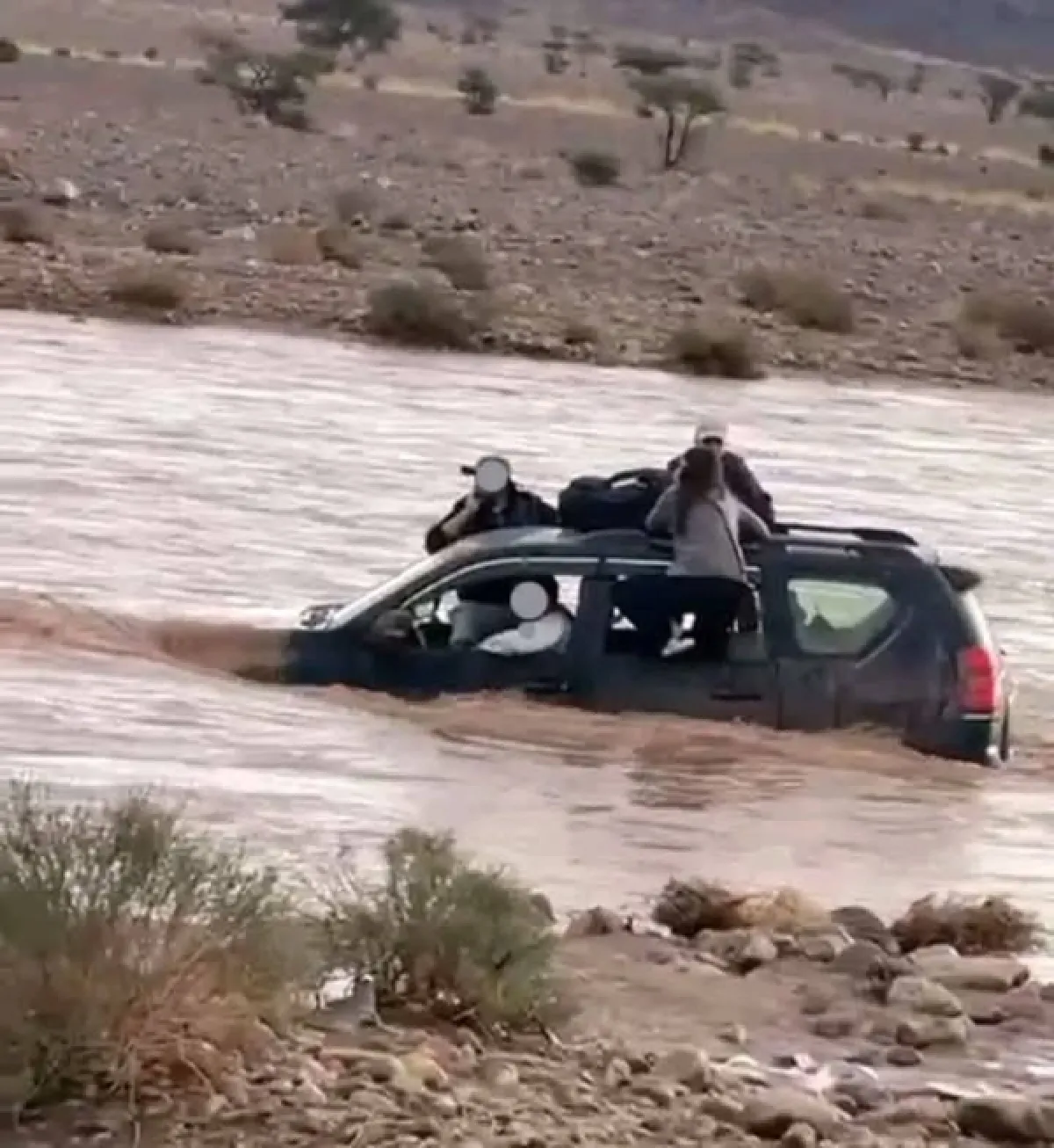 العليمي يوجّه بتعزيز جهود الإغاثة لمتضرري الأمطار والسيول في تعز والحديدة